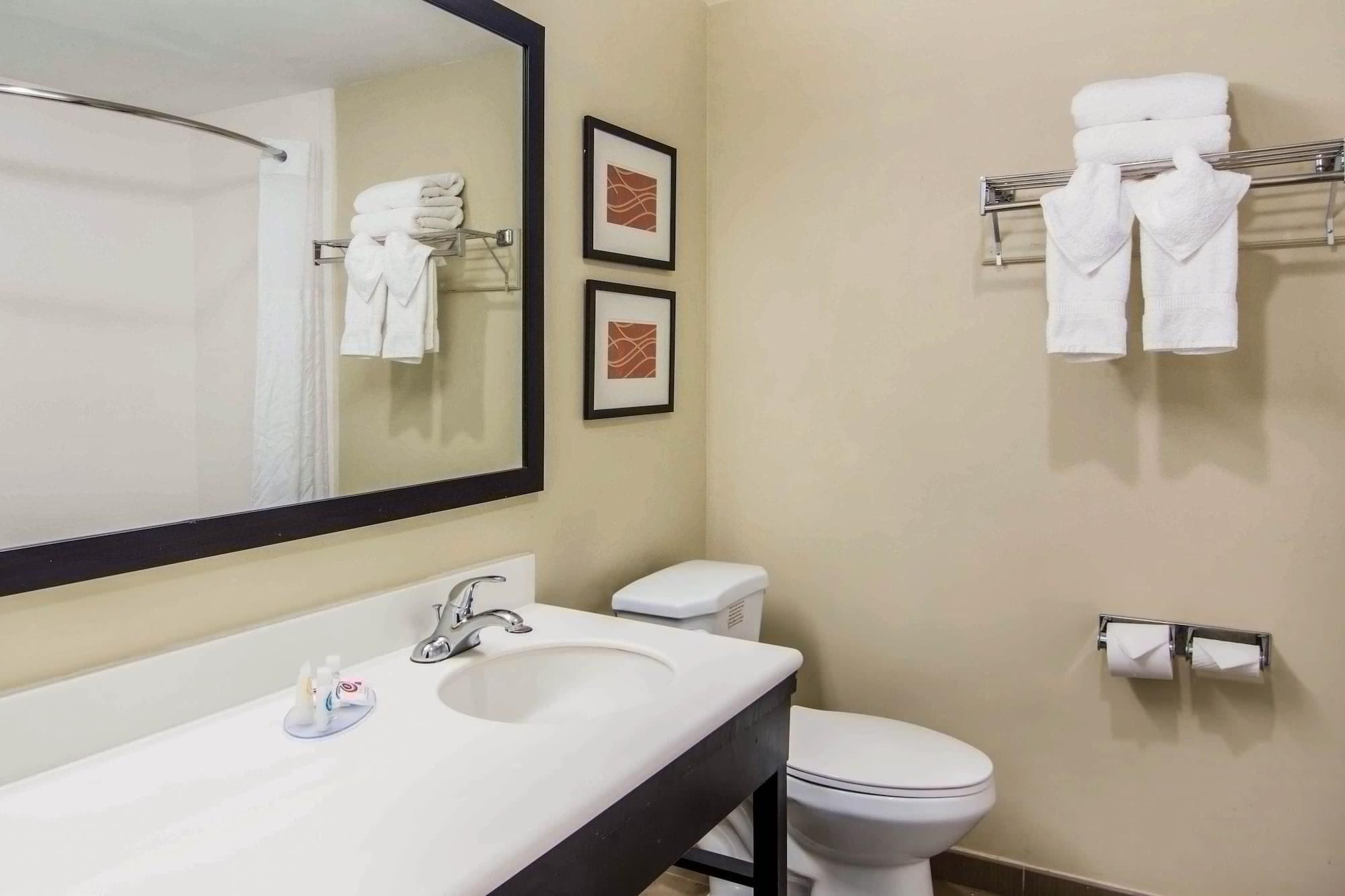 Comfort Inn Atlanta Downtown South Bagian luar foto